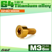 チタンボルト M3×6mm P0.5 キャップボルト キャップスクリュー 六角穴付き ボルト ゴールド JA2084 【メール便可】