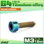 チタンボルト M3×12mm P0.5 キャップボルト キャップスクリュー 六角穴付き ボルト レインボー JA2097 【メール便可】