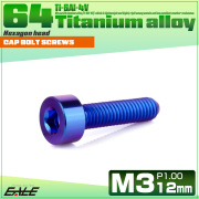 チタンボルト M3×12mm P0.5 キャップボルト キャップスクリュー 六角穴付き ボルト パープルブルー JA2267 【メール便可】