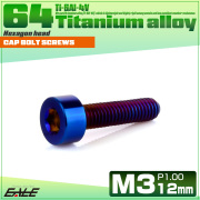 チタンボルト M3×12mm P0.5 キャップボルト キャップスクリュー 六角穴付き ボルト 焼きチタン JA2268 【メール便可】