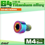 チタンボルト M4×6mm P0.7 キャップボルト キャップスクリュー 六角穴付き ボルト レインボー JA2278 【メール便可】