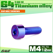 チタンボルト M4×12mm P0.7 キャップボルト キャップスクリュー 六角穴付き ボルト パープルブルー JA2294 【メール便可】