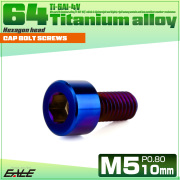 チタンボルト M5×10mm P0.8 キャップボルト キャップスクリュー 六角穴付き ボルト 焼きチタン JA2321 【メール便可】