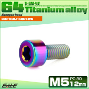 チタンボルト M5×12mm P0.8 キャップボルト キャップスクリュー 六角穴付き ボルト レインボー JA2326 【メール便可】