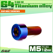 チタンボルト M5×12mm P0.8 キャップボルト キャップスクリュー 六角穴付き ボルト 焼きチタン JA2327 【メール便可】