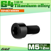チタンボルト M5×12mm P0.8 キャップボルト キャップスクリュー 六角穴付き ボルト ブラック JA2328 【メール便可】