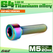 チタンボルト M5×20mm P0.8 キャップボルト キャップスクリュー 六角穴付き ボルト レインボー JA2344 【メール便可】