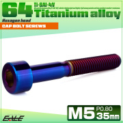 チタンボルト M5×35mm P0.8 キャップボルト キャップスクリュー 六角穴付き ボルト 焼きチタン JA2363 【メール便可】