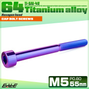 チタンボルト M5×55mm P0.8 キャップボルト キャップスクリュー 六角穴付き ボルト パープルブルー JA2384 【メール便可】