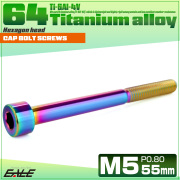 チタンボルト M5×55mm P0.8 キャップボルト キャップスクリュー 六角穴付き ボルト レインボー JA2386 【メール便可】