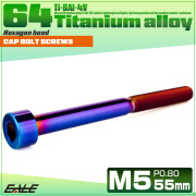 チタンボルト M5×55mm P0.8 キャップボルト キャップスクリュー 六角穴付き ボルト 焼きチタン JA2387 【メール便可】