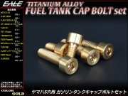 ZRX400 ZRX400 2型 チタン エンジンカバーボルト 27本セット カワサキ