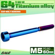 チタンボルト M5×60mm P0.8 キャップボルト キャップスクリュー 六角穴付き ボルト 焼きチタン JA2393 【メール便可】