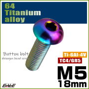 チタンボルト M5×18mm P0.8 ボタンボルト 六角穴 レインボー 虹色 ライトカラー JA2653 【メール便可】