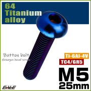 チタンボルト M5×25mm P0.8 ボタンボルト 六角穴 焼きチタンカラー ダークカラー JA2657 【メール便可】