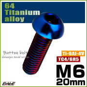 チタンボルト M6×20mm P1.0 ボタンボルト 六角穴 焼きチタンカラー ダークカラー JA2662 【メール便可】