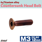 チタンボルト M3×12mm P0.5 皿ボルト 六角穴 皿 キャップボルト ブロンズ JA3004 【メール便可】