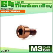 チタンボルト M3×6mm P0.5 キャップボルト キャップスクリュー 六角穴付き ボルト ブロンズ JA3034 【メール便可】