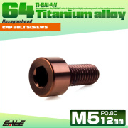 チタンボルト M5×12mm P0.8 キャップボルト キャップスクリュー 六角穴付き ボルト ブロンズ JA3049 【メール便可】