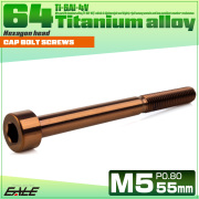 チタンボルト M5×55mm P0.8 キャップボルト キャップスクリュー 六角穴付き ボルト ブロンズ JA3059 【メール便可】