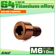 チタンボルト M6×10mm P1.0 キャップボルト キャップスクリュー 六角穴付き ボルト ブロンズ JA3061 【メール便可】