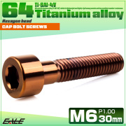 チタンボルト M6×30mm P1.0 キャップボルト キャップスクリュー 六角穴付き ボルト ブロンズ JA3067 【メール便可】