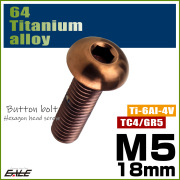 チタンボルト M5×18mm P0.8 ボタンボルト 六角穴 ブロンズ JA3108 【メール便可】