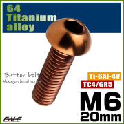 チタンボルト M6×20mm P1.0 ボタンボルト 六角穴 ブロンズ JA3114 【メール便可】