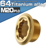 64チタン製 クランクアーム 固定ボルト 取り付けボルト M20×8mm P1.0 ゴールド 自転車 JA499 【メール便可】