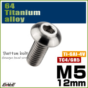 チタンボルト M5×12mm P0.8 ボタンボルト 六角穴 シルバー原色 JA590 【メール便可】