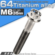チタンボルト M6×35mm P1.00 六角ボルト フランジ付 ホールヘッド シルバー チタン原色 JA790 【メール便可】