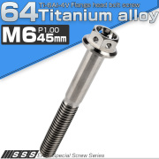 チタンボルト M6×45mm P1.00 六角ボルト フランジ付 ホールヘッド シルバー チタン原色 JA796 【メール便可】