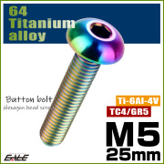 チタンボルト M5×25mm P0.8 ボタンボルト 六角穴 レインボー 虹色 ライトカラー JA901 【メール便可】