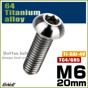 チタンボルト M6×20mm P1.0 ボタンボルト 六角穴 シルバー原色 JA912 【メール便可】