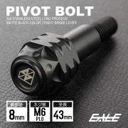 バイクレバー 取付用 ピボットボルト M6 P1.0 胴部径8mm ステンレス マットブラック S-1054-BK 【メール便可】
