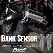 30mm バンクセンサー ネジ M8×10mm P1.25 補修 交換用 ドレスアップにも シルバー 2個セット S-1056-2SET 【メール便可】