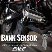 30mm バンクセンサー ネジ M8×10mm P1.25 補修 交換用 ドレスアップにも シルバー 1個売り S-1056 【メール便可】