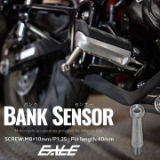 40mm バンクセンサー ネジ M8×10mm P1.25 補修 交換用 ドレスアップにも シルバー 1個売り S-1057 【メール便可】