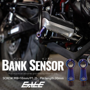 30mm バンクセンサー ネジ M8×10mm P1.25 補修 交換用 ドレスアップにも 焼きチタン色 2個セット S-1059-2SET 【メール便可】