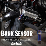 30mm バンクセンサー ネジ M8×10mm P1.25 補修 交換用 ドレスアップにも 焼きチタン色 1個売り S-1059 【メール便可】