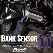 40mm バンクセンサー ネジ M8×10mm P1.25 補修 交換用 ドレスアップにも 焼きチタン色 2個セット S-1060-2SET 【メール便可】