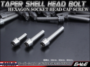 M6×110mm テーパーシェルヘッドボルト ステンレス製キャップボルト クランクケースなどのエンジン周りに シルバー TB0268 【メール便可】
