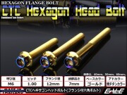 M6×110mm P1.0 フランジ ヘキサゴンヘッドボルト 六角ボルト ステンレス CTC ゴールド＆焼チタンカラー TB0804 【メール便可】
