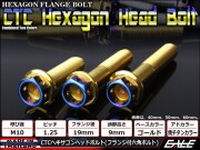 M10×65mm P1.25 フランジ ヘキサゴンヘッドボルト 六角ボルト ステンレス CTC ゴールド＆焼チタンカラー TB0831 【メール便可】