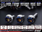M6×30mm P1.0 ワイドフランジ ヘキサゴンヘッド ボルト 六角ボルト ステンレス CTC シルバー＆焼チタンカラー TB0713 【メール便可】