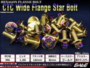 M6×25mm P1.00 2色 ワイドフランジスター ボルト ワイヤーロック穴付き 六角ボルト ステンレス削り出し ゴールド&焼きチタンカラー TB1004 【メール便可】