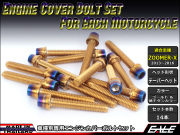 ZOOMER-X エンジンカバー ボルト14本set キャップボルト CTCテーパーヘッド ゴールド&焼チタンカラー TB6033
