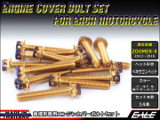 ZOOMER-X エンジンカバー ボルト14本set フランジ六角ボルト CTCヘキサゴンヘッド ゴールド&焼チタンカラー TB6035