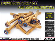 エンジンカバー ボルトセット PCX JF28 JF56 PCX150 KF12 KF18 CTCヘキサゴンヘッド ゴールド&焼チタンカラー TB6060