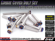 12Vモンキー エンジンカバー ボルト11本set フランジ付六角ボルト CTCヘキサゴンヘッド シルバー&焼チタンカラー TB6109